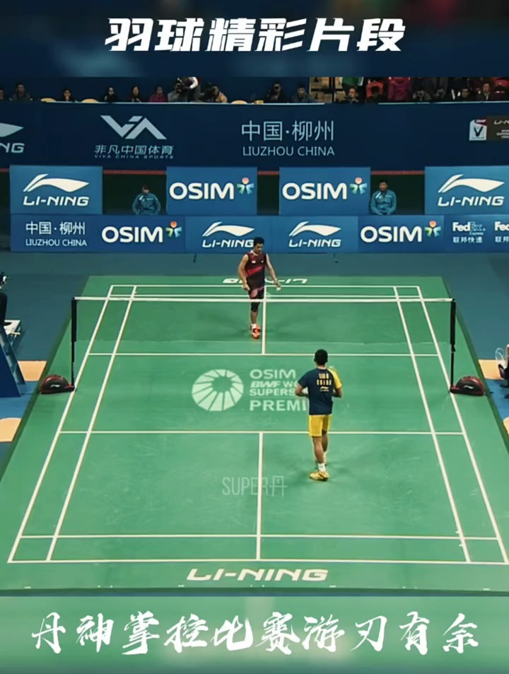 法国羽毛球队翻盘日本羽毛球队，林丹绝境逆转的简单介绍