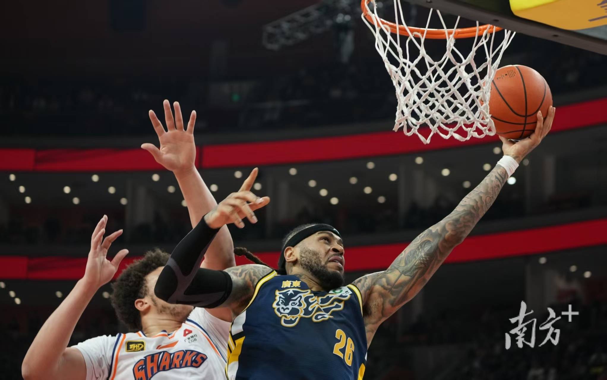 上海队与广东队交锋：谁能一举拿下比赛