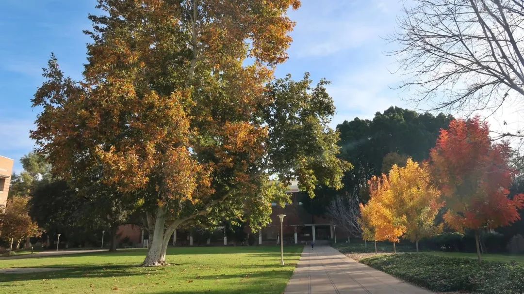 包含巨人晋级希望不渺，法则重euro的词条