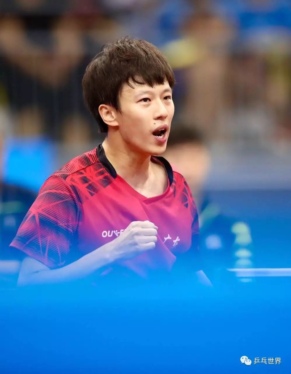 波兰乒乓球队绝杀德国乒乓球队,水谷隼惊艳世界的简单介绍 波兰乒乓球队绝杀德国乒乓球队,水谷隼惊艳世界的简单介绍