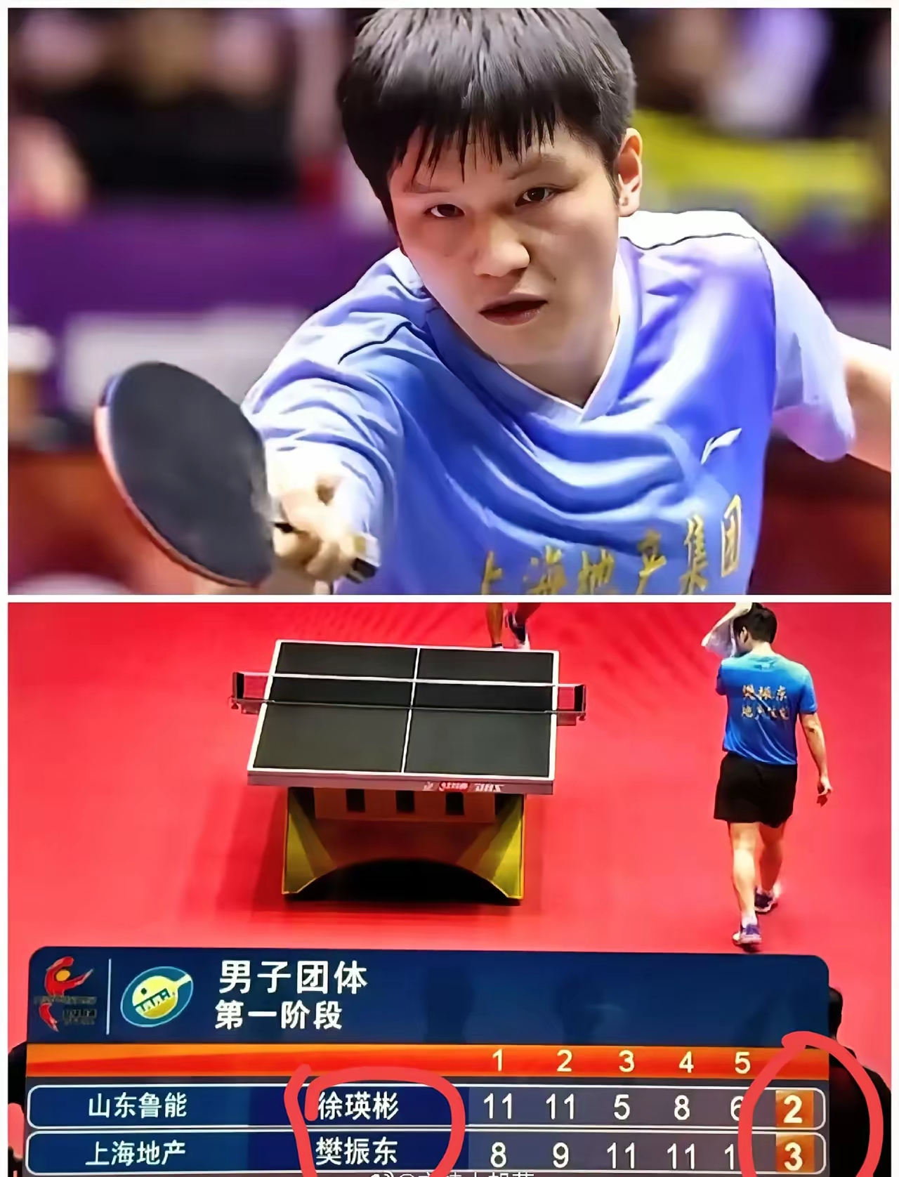 瑞典队轻取日本队，樊振东刷新纪录