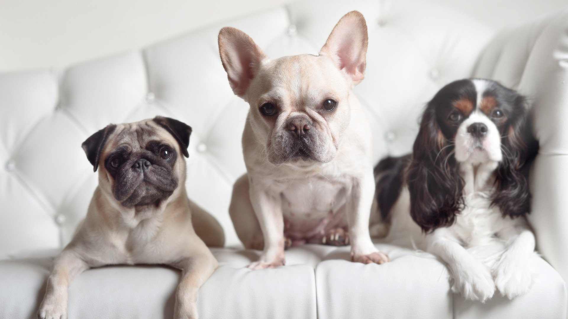 劳塔罗连续得分拉开差距,丹麦险胜安哥拉锁定小组出线关键战