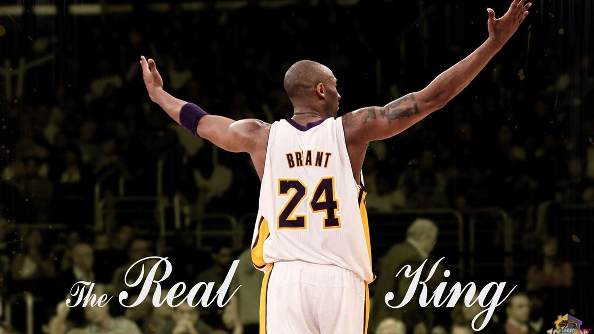 双星闪耀，詹姆斯末节定乾坤，伦纳德西决封神夜